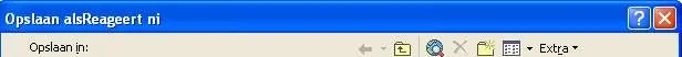 probleem opslaan als.webp