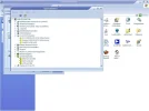 phiips.webp