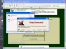 avg 1.webp
