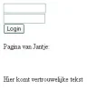 scherm.webp