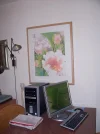 newpc.webp