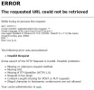 Website error.webp