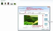 3.webp