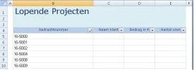 Voorbeeld ideaalbeeld.webp