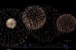 firework.webp