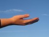 Helpende-Hand.jpg Helpende-Hand.jpg