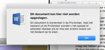 screenshot_word.webp screenshot_word.webp