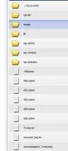 5.webp