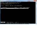 5.webp