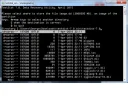 8.webp