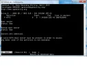 11.webp