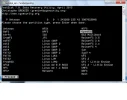 14.webp