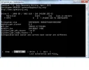 17.webp