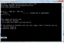 19.webp
