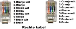 utp 1op1.webp