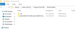 pic2.webp