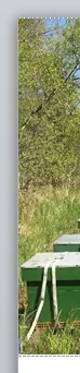 Knipsel.webp