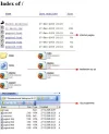 web.webp