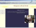 screenie.webp