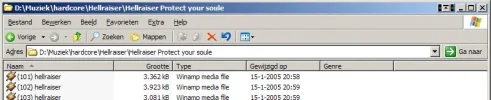 voorbeeld.webp