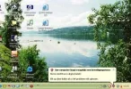 beelduitsnede.webp