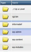 4.webp