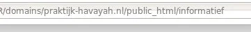 5.webp