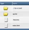 7.webp
