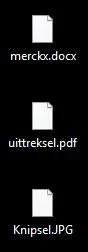 icoontjes.webp