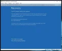 melding vm.webp