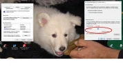 systeemherstelpunten ruimte.webp