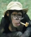 aap.webp aap.webp