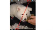 taakbalk.webp