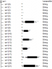 Array sn.png Array sn.png