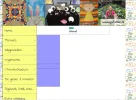 dreamweaver 1.webp dreamweaver 1.webp