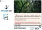jungle.webp