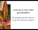screenPP.webp screenPP.webp