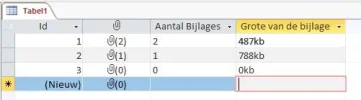 Voorbeeld Access Bijlage.webp
