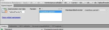 TabbedPanels probleem.webp TabbedPanels probleem.webp