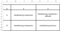 voorbeeld.webp