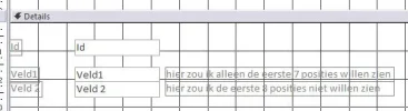 voorbeeld velden.webp voorbeeld velden.webp