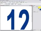 5.webp
