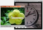 vensters.webp