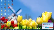scherm 10-05-2017.webp