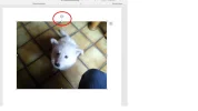 roteerteken.webp