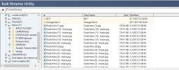 bulk 1.webp bulk 1.webp