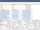 bulk 4.webp bulk 4.webp