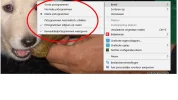 beeld.webp