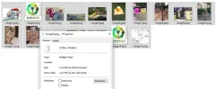 Plaatjes.webp Plaatjes.webp