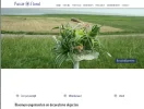 homepage-IE.webp